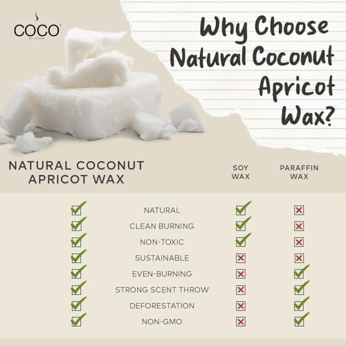 COCO by Stone 6.5oz Candle, Coconut Apricot Wax Candle for Home (Honeysuckle) Home Fragrance Products, 1 Wick Candle, Enhance Indoor Aroma, Vegan & Cruelty-Free, Clean Burning and Hand Poured Candle