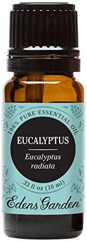 Edens Garden Eucalyptus- Radiata Essential Oil- 100% Pure Premium Grade, Undiluted, Natural, Therapeutic, Aromatherapy, The Best for Diffuser, Laundry, Hair, Humidifiers 10 ml (.33 fl oz)