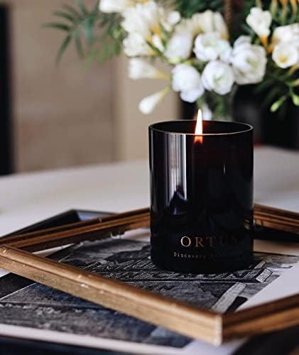 Vancouver Candle Co. Ortus Discovery Candle – Non-Toxic Soy Wax Aromatherapy Candle – Handmade with Natural Essential Oil – Strong Scented, Long Lasting 10 Ounce Jar Candle with Gift Box