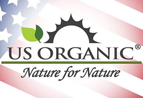 US Organic 100% Pure Clove Stem Essential Oil - USDA Certified Organic, Steam Distilled (10 ml)