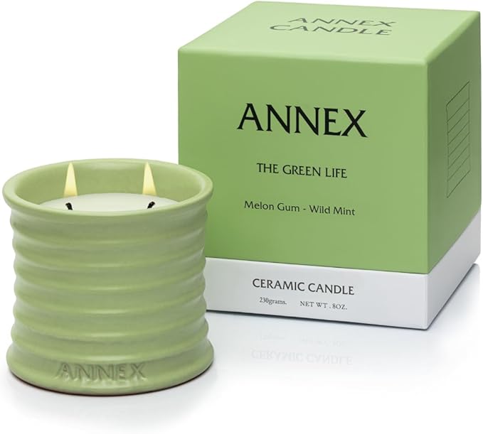Annex Melon & Juniper Luxury Scented Candle - Handmade Ceramic Jar - 50hr Clean Burn, Non-Toxic Soy Wax - Aesthetic Home Decor Winter Gift for Men & Women - Botanical Crisp Scent