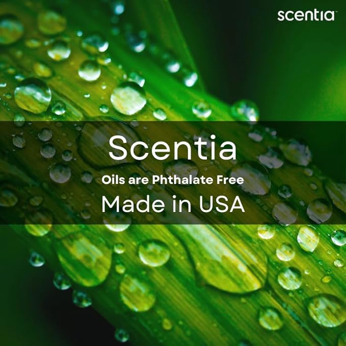 Scentia Hotel Diffuser Oil Inspired by The Wynn, Las Vegas Hotel - 20 mL 0.67 fl oz - Fragrance Oil Blend for Aromatherapy & Ultrasonic Diffusers - Mystical, Thanksgiving Gift