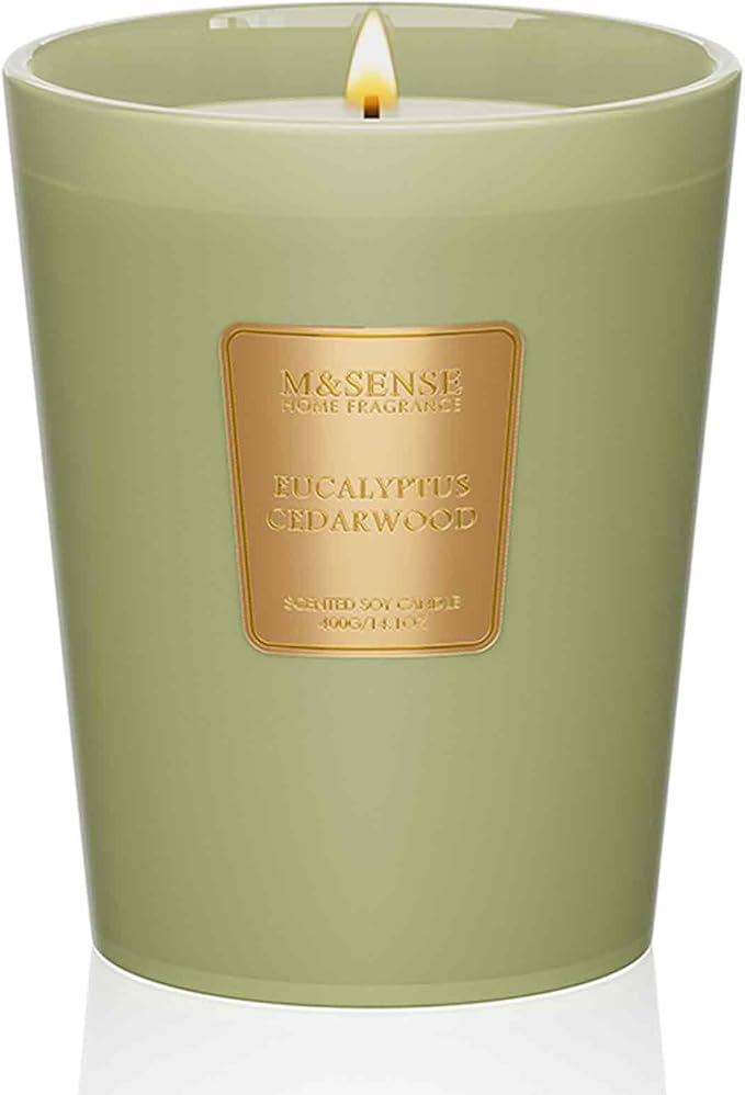 M&SENSE Eucalyptus Cedarwood Soy Candle, 14.1oz 60H Long Lasting, Aromatherapy Candle for Office Relaxation Winter Home Decor Housewarming Gifts