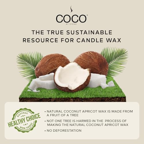 COCO by Stone 6.5oz Candle, Coconut Apricot Wax Candle for Home (Blue Birch) Home Fragrance Products, 1 Wick Candle, Enhance Indoor Aroma, Vegan & Cruelty-Free, Clean Burning and Hand Poured Candle