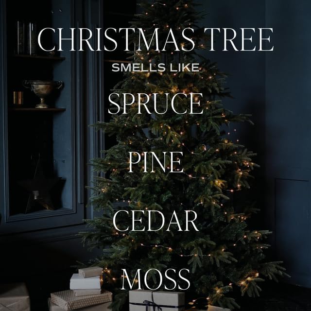 Sweet Water Decor Christmas Tree Candle - Spruce, Pine Needles and Evergreen Candles Scented Soy Candles for Home - Christmas Candle 12oz Sandstone Jar, 50+ Hour Burn Time, Made in The USA