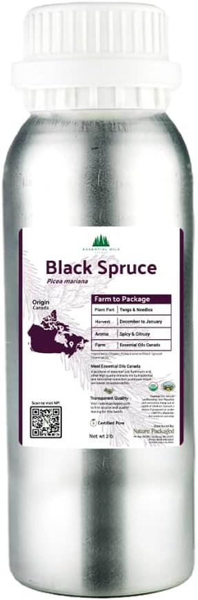 Black Spruce Essential Oil from Canada - Pure Essential Oils for Diffuser, Humidifier, or Aromatherapy- Fresh & Forest-Like | Pure Therapeutic Grade (2LBS)