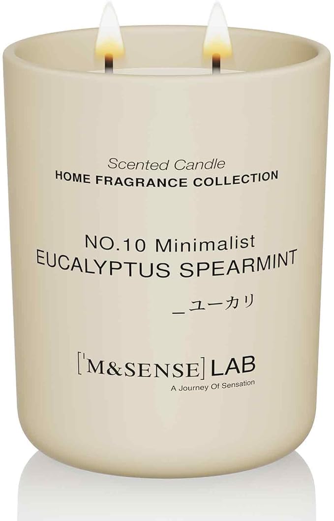 M&SENSE Natural Soy Candle| Eucalyptus Spearmint | 16.6 oz, 95H Burn | Minimalist Christmas Scented Candle for Relaxation, Gifting, Home Décor | for Bedroom, Office, Party Large