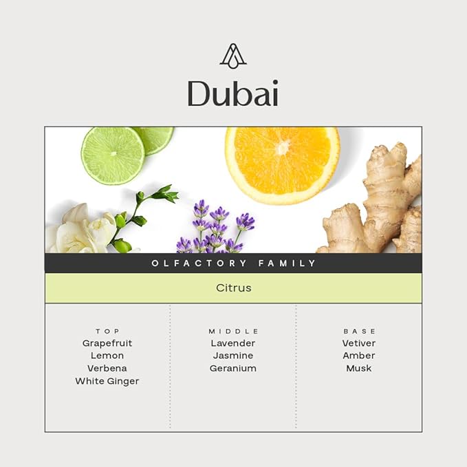 AromaPlan Hotel Scents Dubai,1.7 Fl Oz (50 ml)- Home Luxury Aroma & Hotel Fragrance Diffuser Oil- Hotel Diffuser Oil for Aromatherapy- USA Made, Bolder Aroma & Longer Lasting