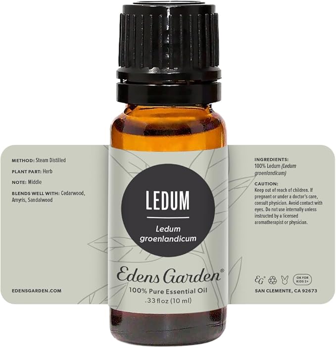 Edens Garden Ledum Essential Oil- 100% Pure Premium Grade, Undiluted, Natural, Therapeutic, Aromatherapy, The Best for Diffuser, Skin, Hair, Humidifiers 10 ml (.33 fl oz)