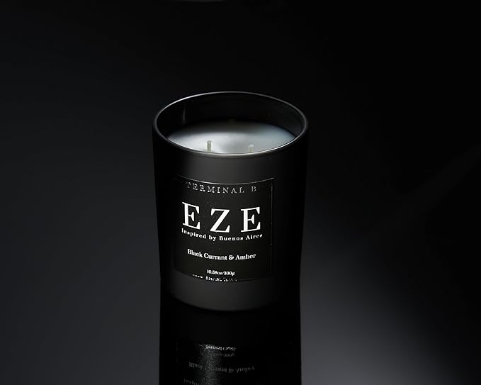 Luxury Candle | EZE - Black Currant & Amber | Inspired by Buenos Aires | Hand-Poured in Los Angeles | 10.58 oz, 60+ Hour Burn Time