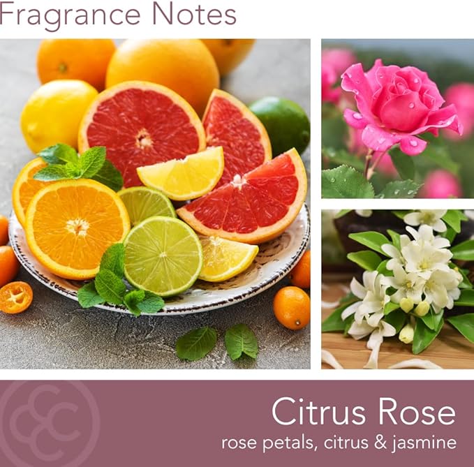 Carolina Citrus Rose Scented Candle, 16 oz Wellness Relaxing Aromatherapy Candle, 2 Wick White Jar Soy Blend Wax, Candles for Home, 60H Burn - Made in The USA