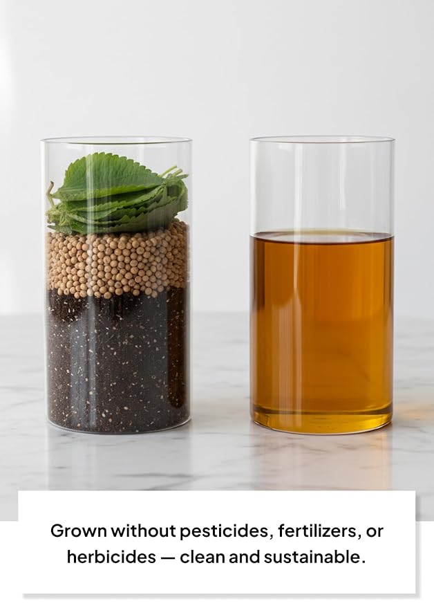 Korean Food Nutty Perilla Oil 6.1 fl oz (180 ml) – 100% Korean Perilla Seeds, Lightly Roasted for Rich, Toasted Flavor