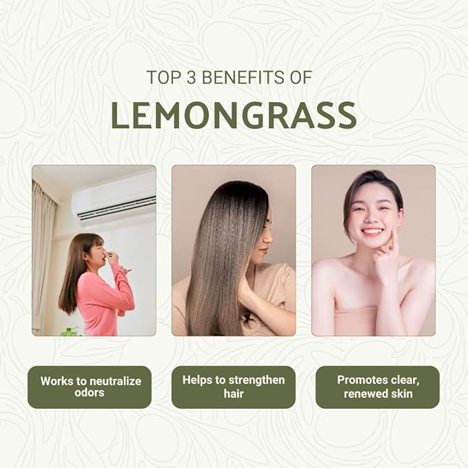 Lemongrass Essential Oil - Natural Aceite de Hierba Limón from Norex Flavours India - Lemongrass Essential Oils for Hair, Aromatherapy and Massage (2lbs)