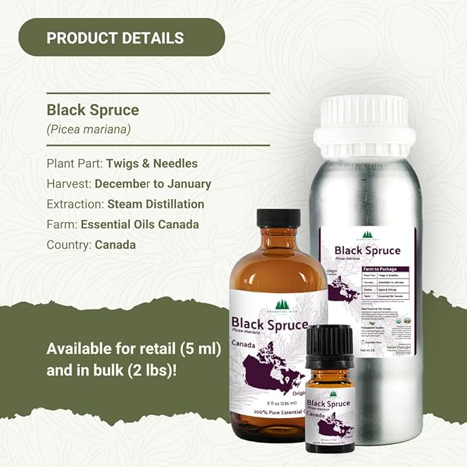 Black Spruce Essential Oil from Canada - Pure Essential Oils for Diffuser, Humidifier, or Aromatherapy- Fresh & Forest-Like | Pure Therapeutic Grade (2LBS)