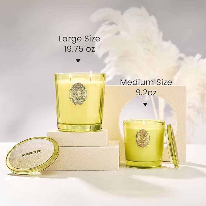 M&SENSE Large Two-Wick Soy Candle | White Tea Sage & Matcha Green | 19.8 oz, 120H Burn Time | Luxury Scented Candle for Relaxation, Gifting, Home Décor | Ideal for Bedroom, Office, Party Ambiance