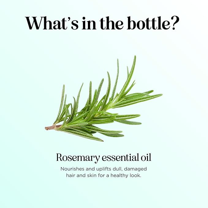 Pure Rosemary Essential Oil Bulk Size - Undiluted Rosemary Oil for Hair Skin and Nails and Refreshing Aromatherapy Oil for Diffusers - Cleansing Essential Oil for Dry Scalp Care 8oz