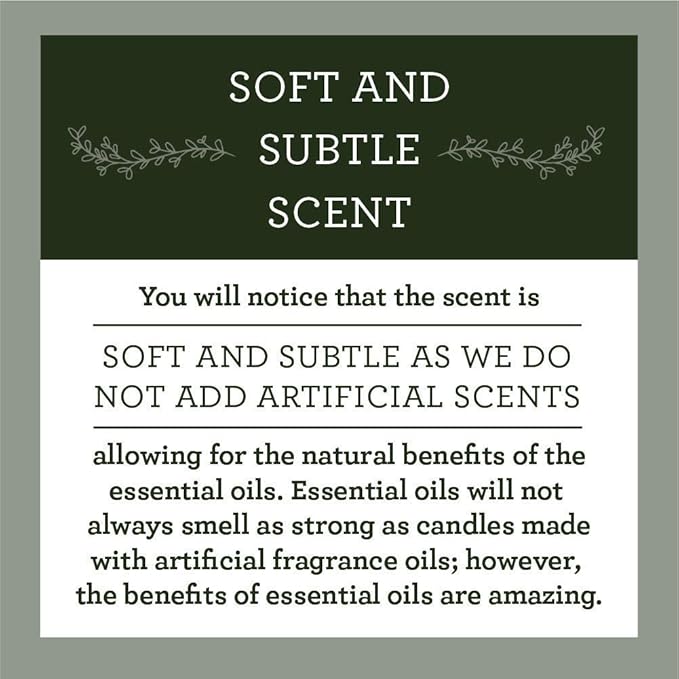 Our Own Candle Company Soy Wax Aromatherapy Candle, Simply Sage, 6.5 Ounce
