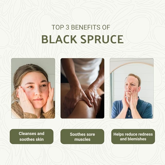 Black Spruce Essential Oil from Canada - Pure Essential Oils for Diffuser, Humidifier, or Aromatherapy- Fresh & Forest-Like | Pure Therapeutic Grade (5ml)