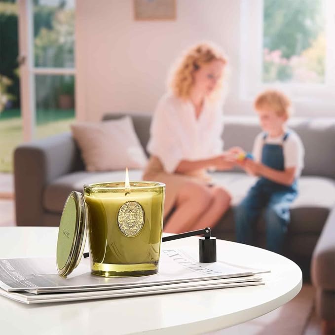 M&SENSE Natural Soy Candle | Forest Cabin & Green | 9.2 oz, 50H Burn Time | Luxury Scented Candle for Relaxation, Gifting, Home Décor | Ideal for Bedroom, Office, Party Ambiance
