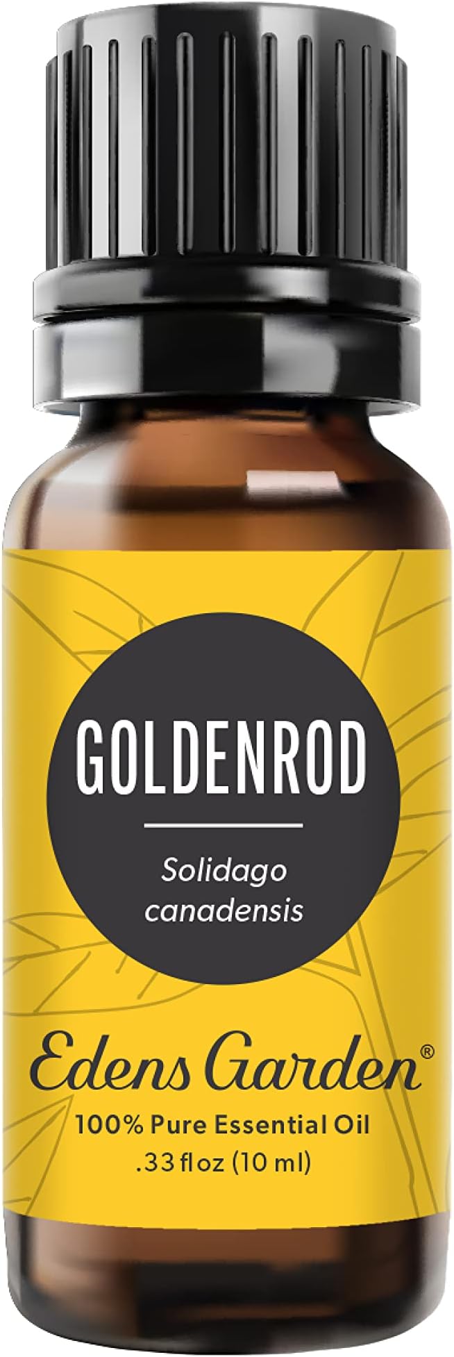 Edens Garden Goldenrod Essential Oil- 100% Pure Premium Grade, Undiluted, Natural, Therapeutic, Aromatherapy, The Best for Diffuser, Skin, Face, Humidifiers 10 ml (.33 fl oz)