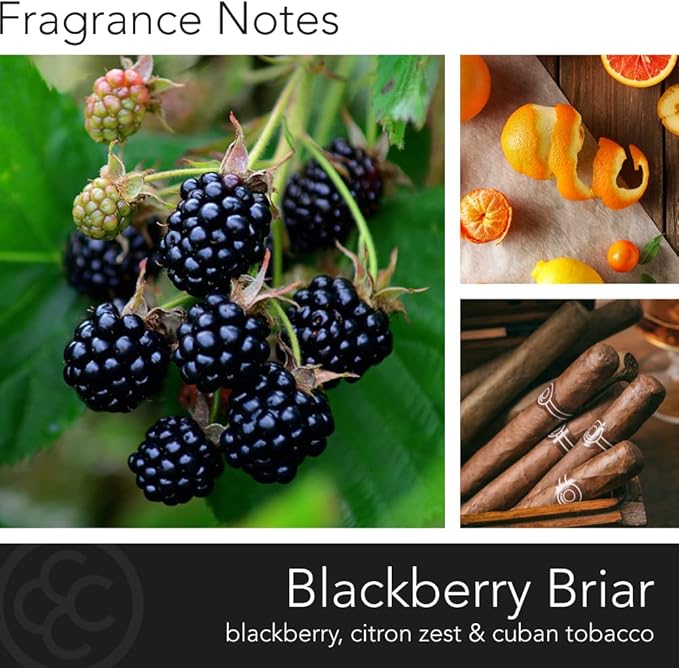 Colonial Candle BlackBerry Briar Scented Jar Candle | 2-Wick Natural Soy Blend Wax Candle for Home | Relaxing Aromatherapy Candle Infused with Essential Oils | M. Baker Apothecary Glass Jar Candle
