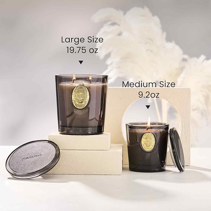 M&SENSE Large Two-Wick Soy Candle | Crisp Chill & Black | 19.8 oz, 120H Burn Time | Luxury Scented Candle for Him,for Relaxation, Gifting, Home Décor | Ideal for Bedroom, Office, Party Ambiance