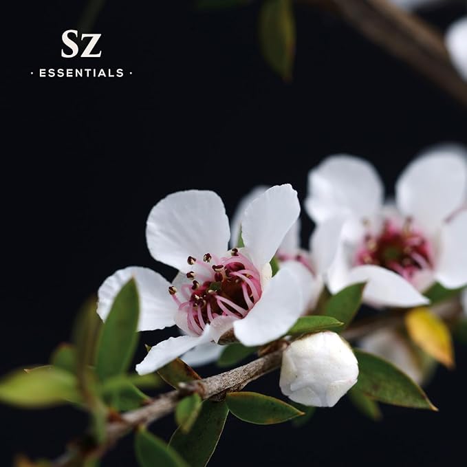 Manuka Essential Oil - New Zealand - 100% Pure and Natural, Undiluted - Promotes Natural Solution for Relaxation with Soothing, Fresh and Earthy Aroma - 0.17 fl oz (5ml)
