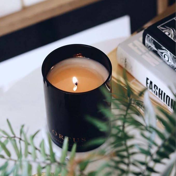 Vancouver Candle Co. Ortus Discovery Candle – Non-Toxic Soy Wax Aromatherapy Candle – Handmade with Natural Essential Oil – Strong Scented, Long Lasting 10 Ounce Jar Candle with Gift Box