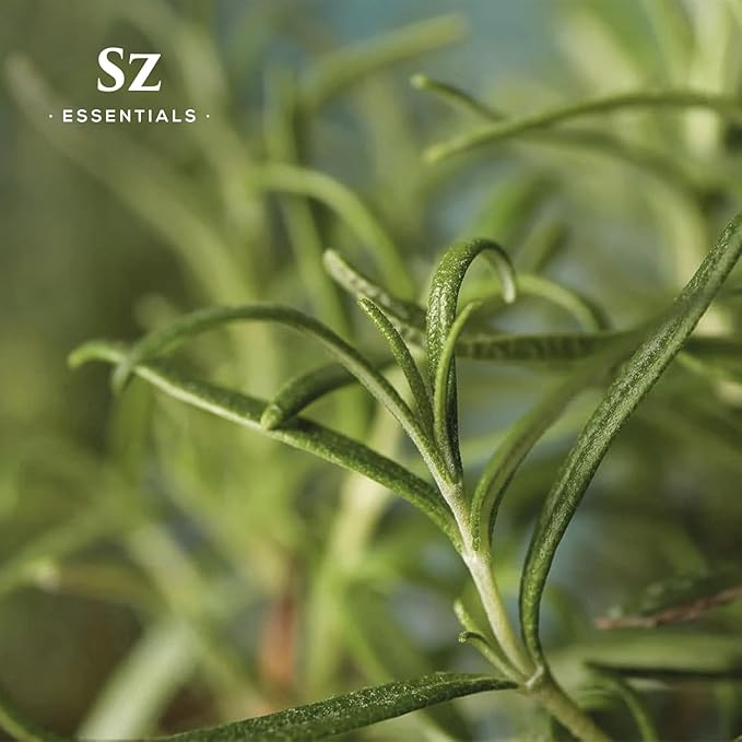 Rosemary Essential Oil - 100% Pure, Natural and Undiluted - Extracted from Fresh Rosemary Organically grwon in High Altitude- Fresh & Herbal Scent with Earthy Overtones - Vegan - 0.17oz
