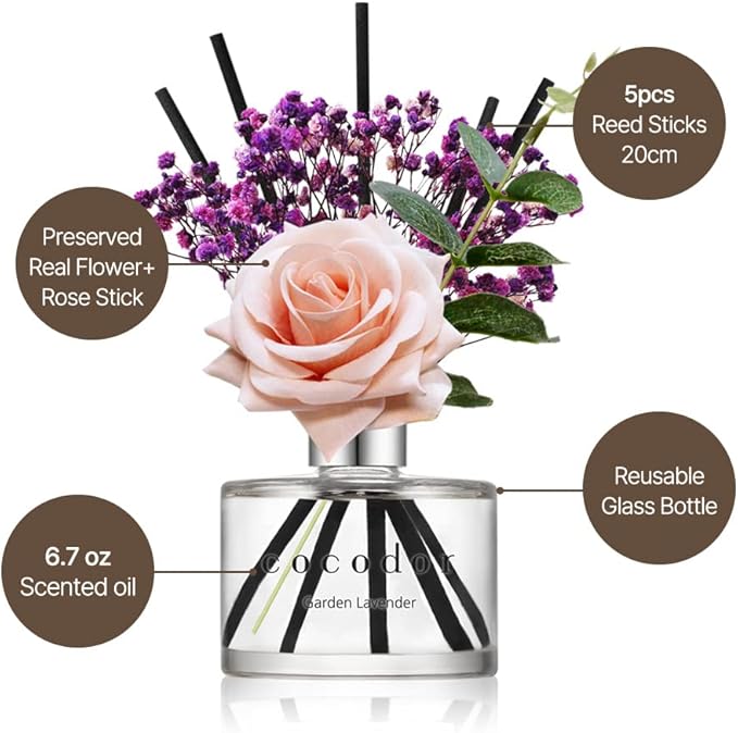 COCODOR Rose Flower Reed Diffuser/Pure Cotton/6.7oz(200ml)/1 Pack/Reed Diffuser, Reed Diffuser Set, Oil Diffuser & Reed Diffuser Sticks, Home Decor & Office Decor, Fragrance and Gifts