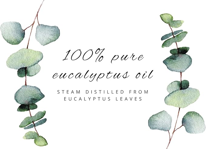 GreenHealth Eucalyptus Essential Oil – 8 fl oz (237 ml) – 100% Pure & Natural – Aromatherapy Oil in Aluminum Bottle with Plug Cap – for Diffuser, Cleaning, Home Fragrance, DIY Use