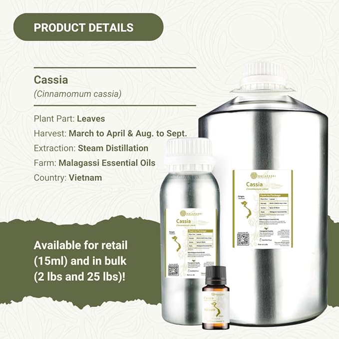 Cassia Essential Oil - Direct from Vietnamese Mountain Farms - Steam Distilled - Aceite de Casia for Aromatherapy, Massage, Diffuser, DIY Candle and Soap Making - 15ml
