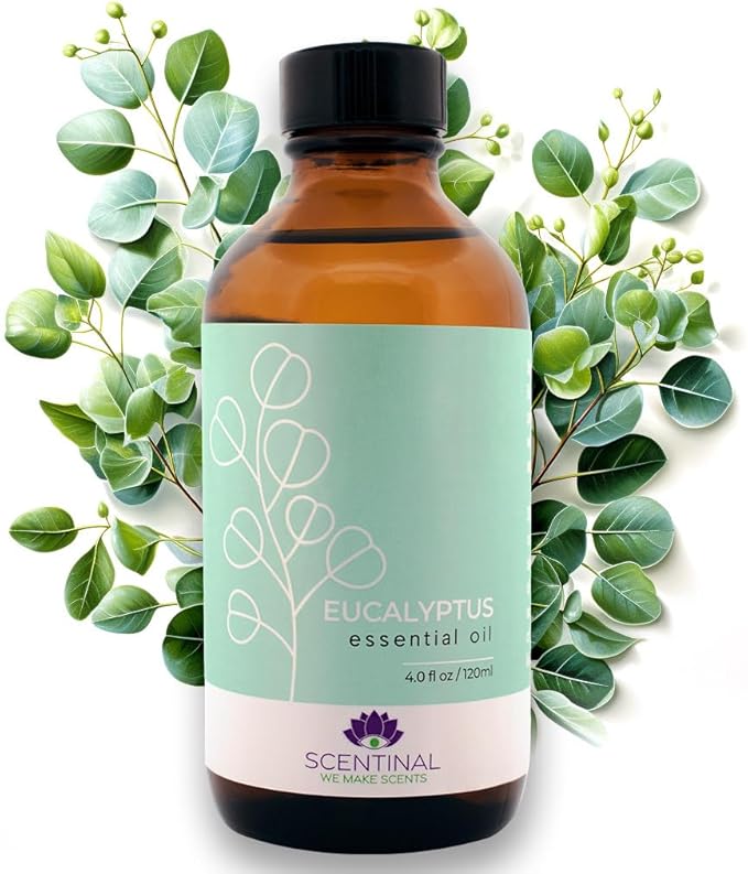Scentinal Premium Essential Oil - 100% Pure, Natural & Authentic - Extra Large 4oz Bottle (120ml) with Eyedropper - Refreshing Aromatherapy Experience (4 oz / 120ml, Eucalyptus)