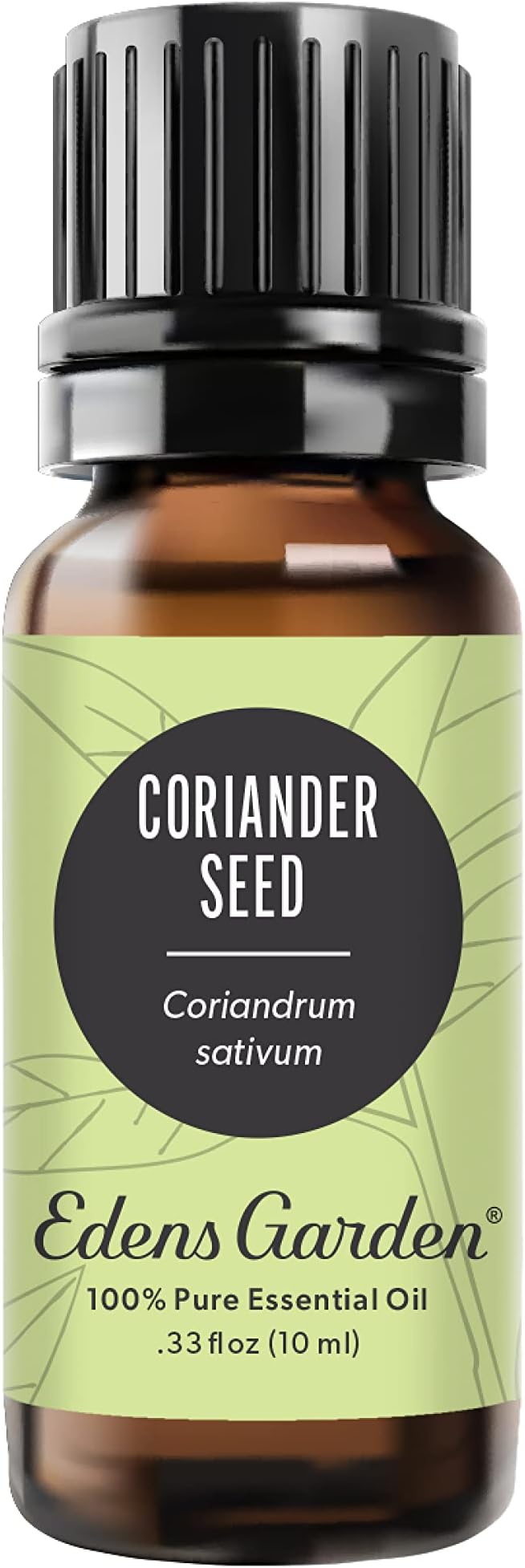 Edens Garden Coriander Seed Essential Oil- 100% Pure Premium Grade, Undiluted, Natural, Therapeutic, Aromatherapy, The Best for Diffuser, Skin, Candle, Kid Safe 10 ml (.33 fl oz)