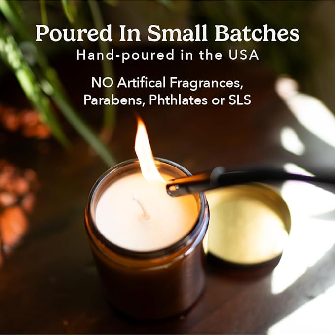 PACHA SOAP Co. Candles - Naturally Derived, Clean Burning, Plant-Based Blend of Soy, Coconut & Apricot Wax, Lead-Free Wick, Cruelty-Free, Recyclable