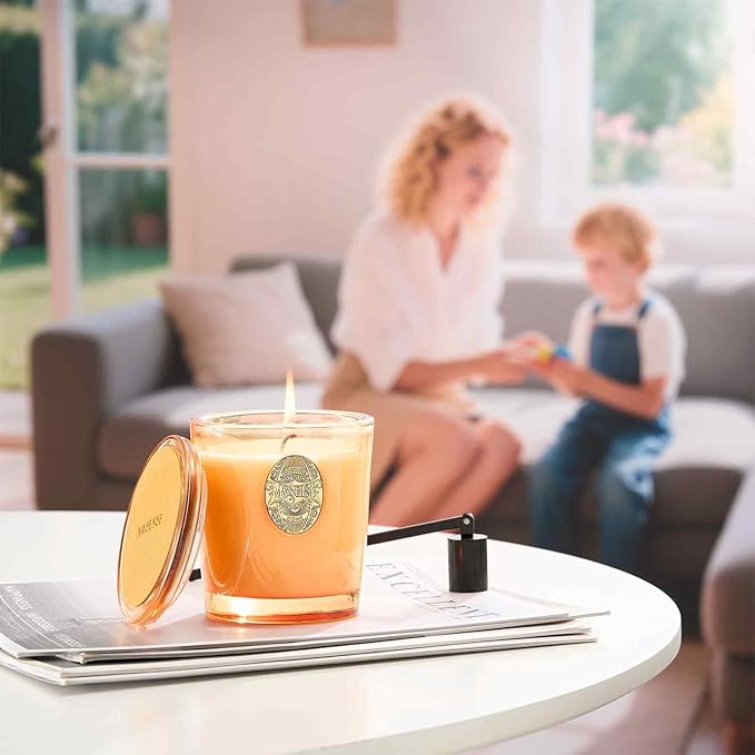 M&SENSE Natural Soy Candle | Basil Ginger & Orange | 9.2 oz, 50H Burn Time | Luxury Scented Candle for Relaxation, Gifting, Home Décor | Ideal for Bedroom, Office, Party Ambiance