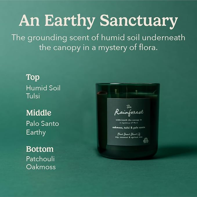 Pacha Soap Co. Rainforest Candle - Oakmoss, Tulsi and Palo Santo Scented, Soy, Coconut & Apricot Wax Blend, Cotton Wick, 60+ Hour Burn Time, Long-Lasting, Recyclable, Paraffin-Free, Made in USA, 12 oz
