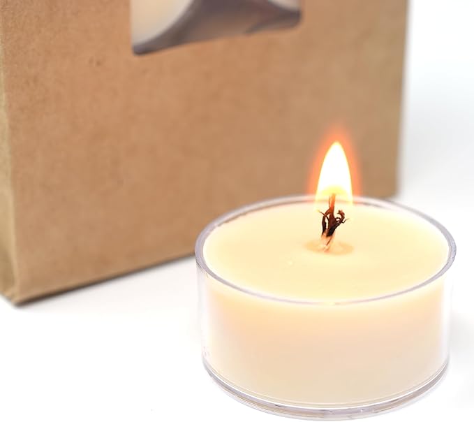 Candeo Candle Woodsy Winter Tealights 12 Pack Soy Beeswax Blend – Winter Lodge, Fraser Fir, O Christmas Tree, Clove & Holiday Home – Cozy Cabin Holiday Candles Handmade USA (Winter Lodge)