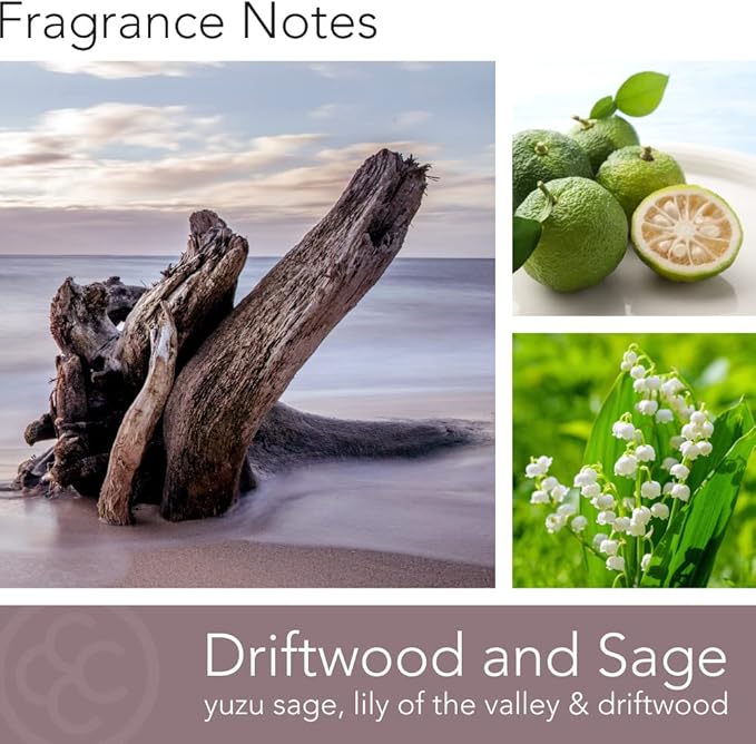 Colonial Candle Driftwood Sage Scented Jar Candle | 2-Wick Natural Soy Blend Wax Candle for Home | Relaxing Aromatherapy Candle Infused with Essential Oils | M. Baker Apothecary Glass Jar Candle