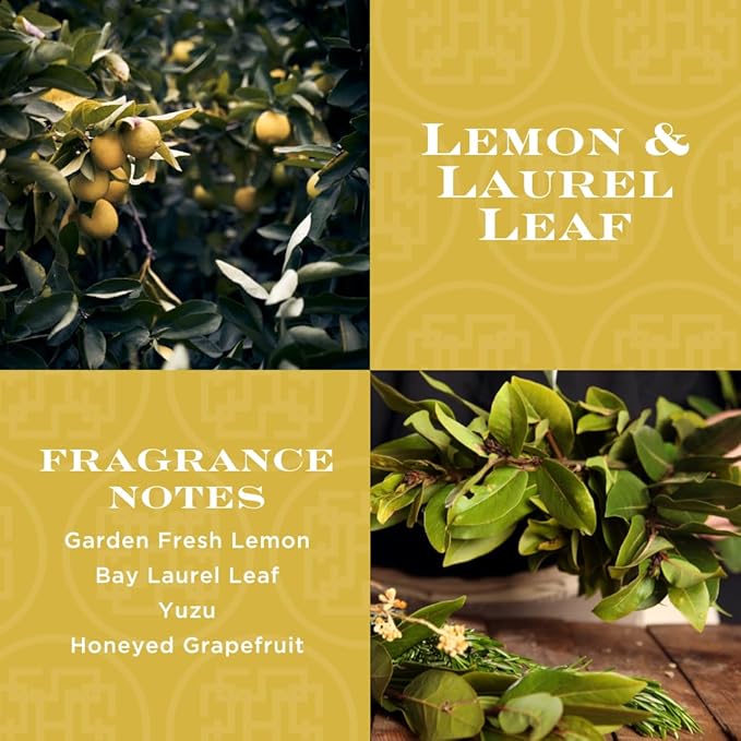 HomeWorx by SLATKIN + CO. Candle- Lemon & Laurel Leaf, 18 oz. Premium Scented Candle