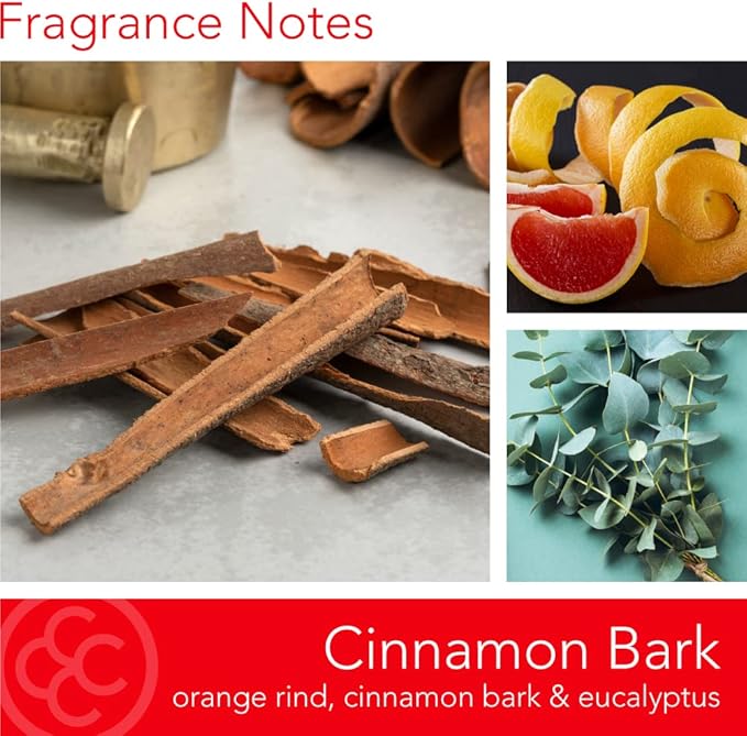 Colonial Candle Cinnamon Bark Scented Jar Candle | 2-Wick Natural Soy Blend Wax Candle for Home | Relaxing Aromatherapy Candle Infused with Essential Oils | M. Baker Apothecary Glass Jar Candle