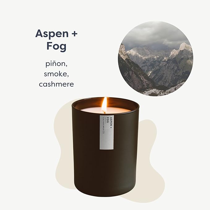 Calyan Wax Co. Aspen & Fog Scented Candle - 75 Hour Burn - Luxury Non Toxic Soy Wax Candles - Long Lasting Black Tumbler Jar Candle for Home - 10.2oz