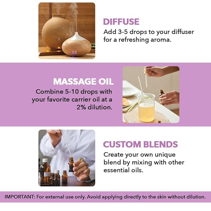 Majestic Pure Essential Oil with Glass Dropper - 100% Pure and Natural - Essential Oils for Diffuser, Aromatherapy, Soap and Candle Making, Lavender Essential Oil, Lavender Oil, 1 Fl Oz