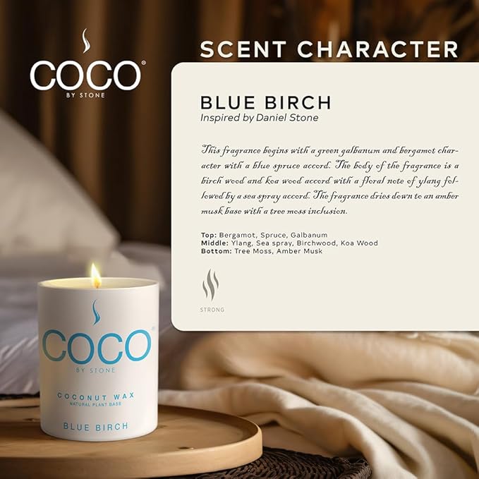 COCO by Stone 6.5oz Candle, Coconut Apricot Wax Candle for Home (Blue Birch) Home Fragrance Products, 1 Wick Candle, Enhance Indoor Aroma, Vegan & Cruelty-Free, Clean Burning and Hand Poured Candle