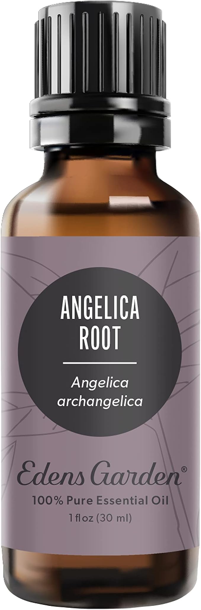 Edens Garden Angelica Root Essential Oil- 100% Pure Premium Grade, Undiluted, Natural, Therapeutic, Aromatherapy, The Best for Diffuser, Candle, Laundry, Kid Safe 30 ml (1 fl oz)