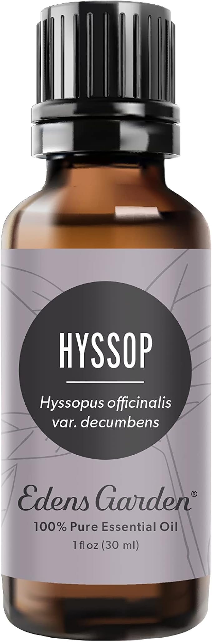 Edens Garden Hyssop Essential Oil- 100% Pure Premium Grade, Undiluted, Natural, Therapeutic, Aromatherapy, The Best for Diffuser, Candle, Laundry, Humidifiers 30 ml (1 fl oz)