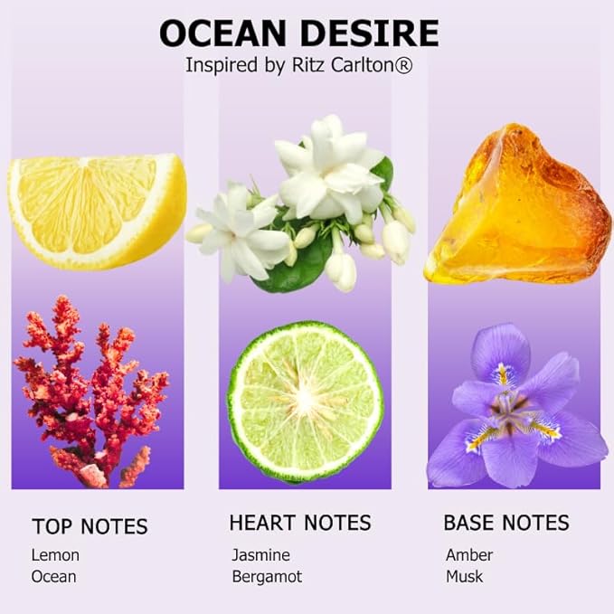 Ocean Desire Inspired by Ritz Carlton - Aromely Hotel Selection Diffuser Oil Scent - Fragrance from 5-Star Resorts - Luxurious Scent of Bergamot, Amber, Musk, and Jasmine (120ml)