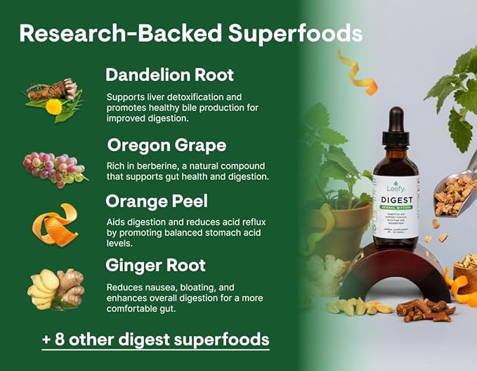 Leefy Organics Digest 2 oz - Herbal Bitters for Digestion and Stomach Relief - Powerful Digestive Aid with Ginger, Dandelion and Gentian - Easy Digestion for Men and Women