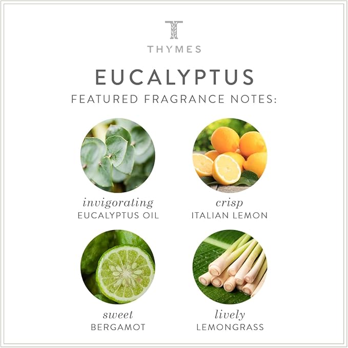 Thymes Aromatic Jar Candle - Eucalyptus Scented Candle for a Fresh Home Fragrance - Luxury Aromatherapy Candle - Single Wick Glass Candle - Matte White Candles (7.5 oz)