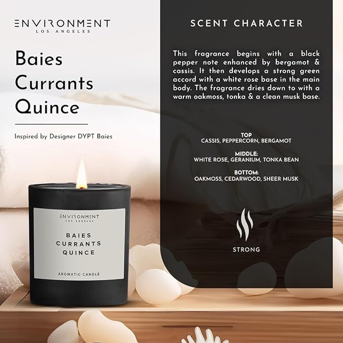 ENVIRONMENT Inspired by Designer Perfume DYPT Baies Candle, 8oz Luxury Coconut Apricot Wax Candles for Home (Baies | Currants | Quince) Home Fragrance Products, 1 Wick Candle, Vegan & Cruelty-Free